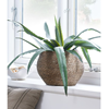 Bloempot rotan Ø26cm